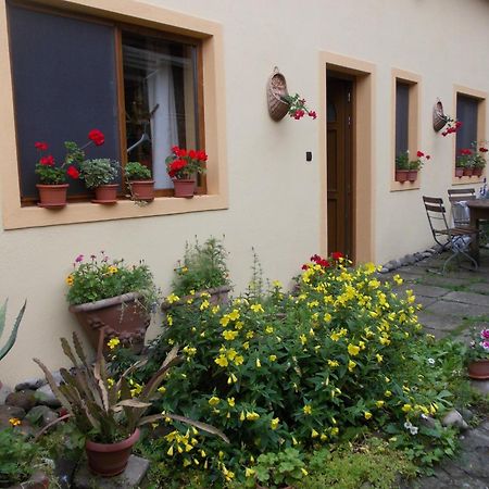 Casa Lia Hotel Sighisoara Ngoại thất bức ảnh