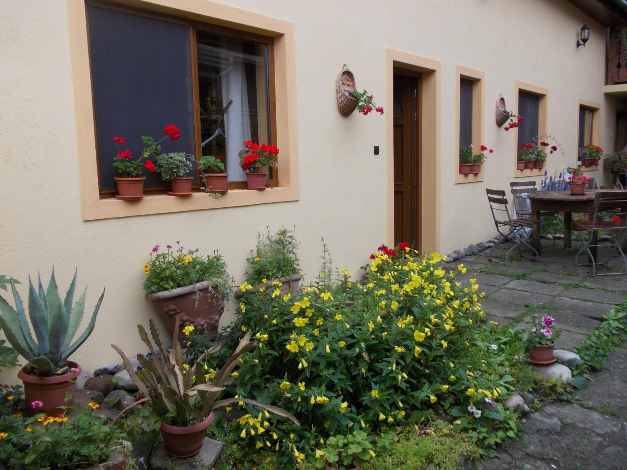 Casa Lia Hotel Sighisoara Ngoại thất bức ảnh